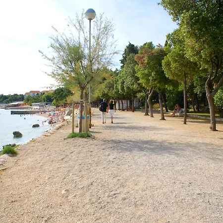 Buneta